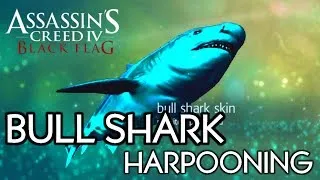 ASSASSIN'S CREED 4: BLACK FLAG ¦ Harpooning - BULL SHARK (Side Activities) [HD]