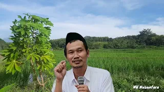 GUS BAHA TERBARU SIANG HARI INI SYUKUR LEBIH TINGGI DRAJATNYA DARI  TAKWA