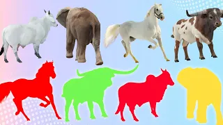 CUTE ANIMALS Horse, Bull, Cow, Elephant (Choose The Right Cow, Elephant, Horse, Bull