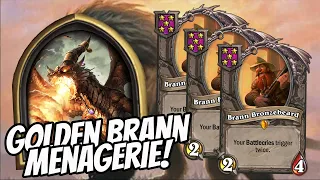 GOLDEN BRANN! ANOTHER WAY TO PLAY ALEX! | Hearthstone Battlegrounds