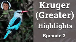 Greater Kruger Episode 3