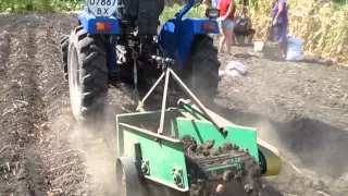 Картоплекопалка тракторна