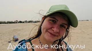 vlog: Дубай ч.1 🤿 ожидание vs реальность 🏖️