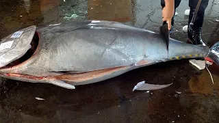 The World's Number One Bluefin Tuna Cutter