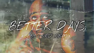 🎵 BETTER DAYS 🎵 2PAC (RK-ONE'S BLUE BIRD REMIX) + LYRICS