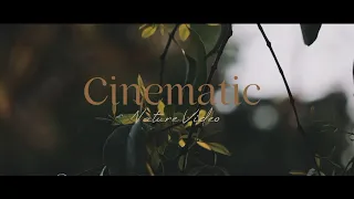 Cinematic Video Of Nature | Shot On Realme | Relaxing Nature Video