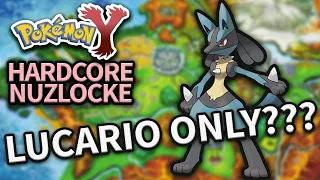 Can One Lucario Beat A Hardcore Nuzlocke?