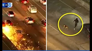 WATCH: Dog follows man trying to hide during police chase after fiery crash on Houston freeway