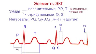 ЭКГ№1. Легко и просто. Лента ЭКГ.