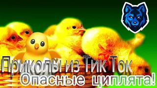 Нашествие Пикачу, Приколы из Тик Ток #2 Часть