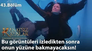 Zeynep, havuzda boğuluyor mu? - Kanatsız Kuşlar 43.Bölüm