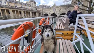 Husky gets a Boat Cruise all to himself! Amazing!