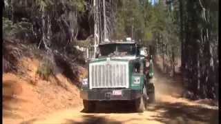 Vanderlip Logging and Crew