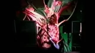 Kurt Cobain shredding