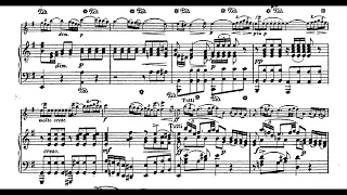 Haydn - Violin Concerto No. 2 in G major,  1st Mov. (piano accompaniment)