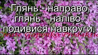 Український віночок (мінус із текстом)