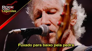 Roger Waters (Pink Floyd) - Dogs + Lyrics Understanding