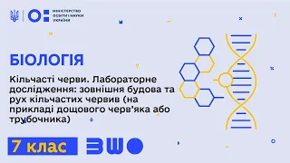 7 клас. Біологія. Кільчасті черви. Лаб. дослідження: зовнішня будова та рух кільчастих червив Ч.1