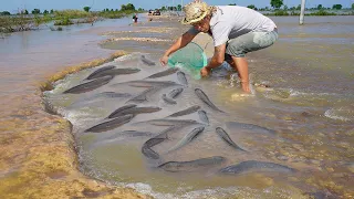 Best Catching Copper Fish & Catfish Under Clear Water - Fishing on The Road Flooded