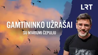 Gamtininko užrašai. Čepulis apie „dangui sukurtus“ čiurlius