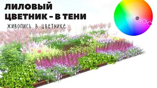 Как спланировать цветник непрерывного цветения в тени? Эффектное лиловое цветение весь сезон