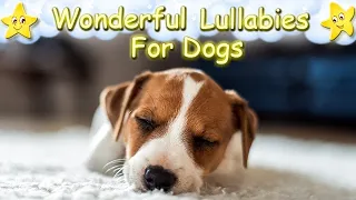 Relaxing Dog Music ♫ Calm Your Puppy Effectively Within Minutes ♥ Lullaby For Dogs