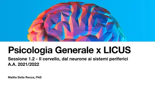 Dal neurone alla sinapsi. Psicologia Generale x LICUS 2021/2022