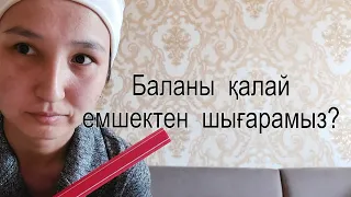 Баланы   қалай   емшектен  шығарамыз?Баланы  емшектен  шығару   жолдары