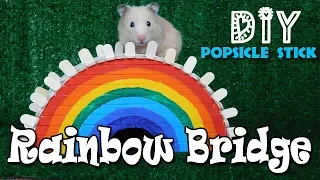 Rainbow House for Hamster. Rainbow Bridge for Hamsters. DIY Hamster toys
