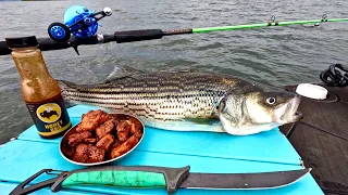 Catch n’ Cook BBQ STRIPER WINGS on the Boat!