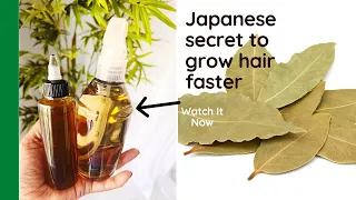 Bay Leaves Benefits | The Secret to Faster Hair Growth | How to Make Bay Leaves for Hair Growth