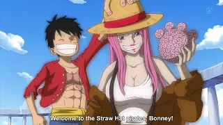 Luffy's Final Crew Member Confirmed! Bonney the Heiress of the Will of the Buccaneers - One Piece