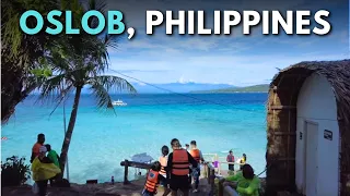 Oslob Cebu Travel Guide: Whale Sharks Waterfalls & Beaches