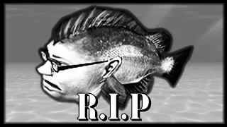 R.I.P Kempy Bass : Hungry shark Memes