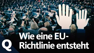 So entsteht eine EU-Richtlinie | Quarks