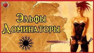 Вы точно уверены, что знаете Эльфов? | Dark Sun