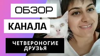 Четвероногие Друзья - Обзор канала