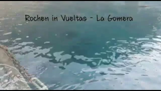 La Gomera - Runde Stechrochen in Vueltas