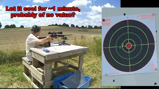 Ruger American .22-250 Shooting Groups at 50 and 100 yards.