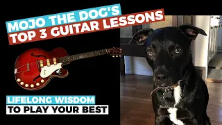 Find your MOJO and be a BETTER GUITARIST - Guitar Lessons from Mojo the Dog! - Guitar Discoveries