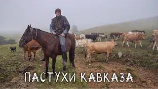 ПАСТУХИ В ГОРАХ КАВКАЗА. Пробрались к ним в самую глушь.