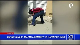 Piura: hombre fue atacado salvajemente por enjambre de abejas