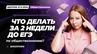 Что делать за две недели до ЕГЭ по обществознанию?