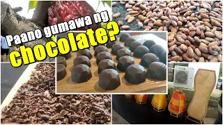 Cacao Farm Tour:Paano Gumawa ng Chocolate,Tablea,Hot Milk mula sa Cacao?FIFTAC,Brgy. Diaat,Ma.Aurora