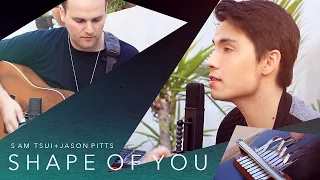 Shape of You (Ed Sheeran) - Sam Tsui LOOPING COVER ft. Jason Pitts | Sam Tsui