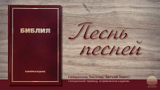 Книга песни песней Соломона. Глава 1