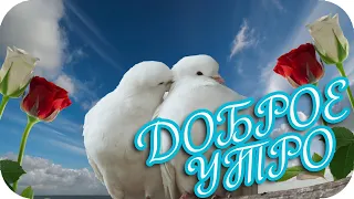 Доброе утро! ❤️ Пускай удача находится рядом! ❤️ Good morning! ❤️