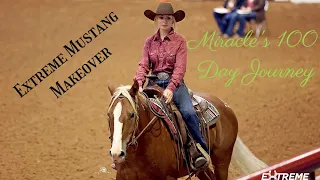 Miracle's 100 Day Journey | 2022 Extreme Mustang Makeover