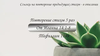 Тефиллин. От Иоанна 14:1-8. Повторение стихов 5 раз