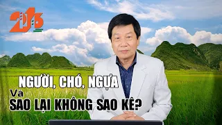 Người, Chó, Ngựa Và SAO LẠI KHÔNG SAO KÊ?